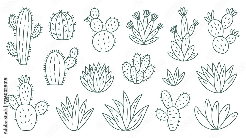 Floral set of isolated outline green vector tropic cactus and succulents elements. Cute botanical hand drawn doodle cacti illustrations for pattern design, logo, coloring book, sticker, tattoo 