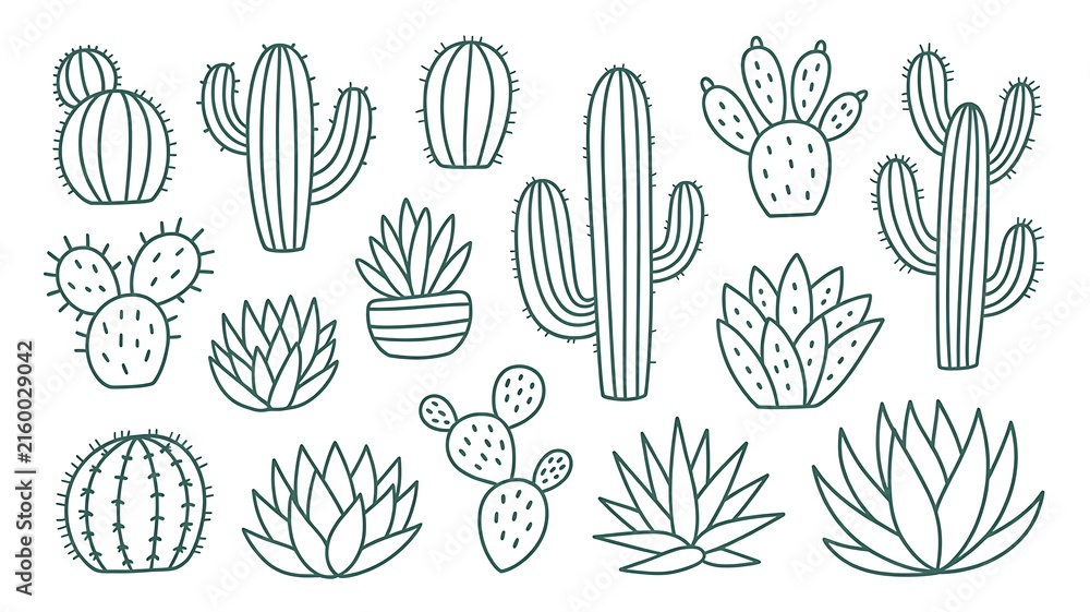 Floral set of isolated outline green vector tropic cactus and succulents elements. Cute botanical hand drawn doodle cacti illustrations for pattern design, logo, coloring book, sticker, tattoo 
