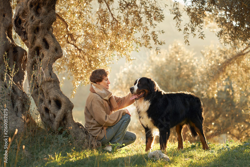 Woman interacts with a Bernese Mountain Dog near a large old olive tree in autumn. Warm countryside light highlights pet training, companionship and a peaceful outdoor lifestyle.