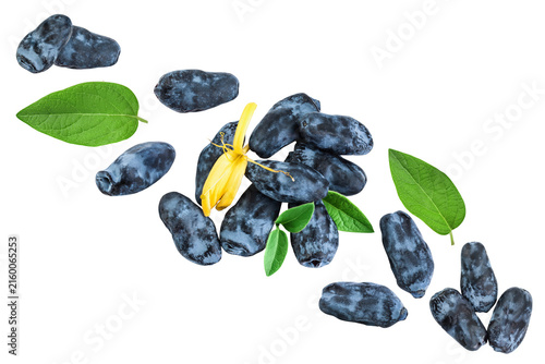 Quadro su tela Fresh honeysuckle blue berry isolated on white background with full depth of field