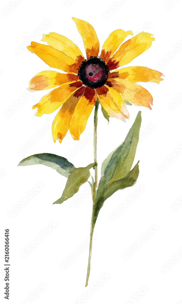 Fototapeta premium PNG Vibrant watercolor sunflower illustration.