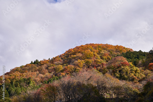 Obraz na płótnie 埼玉県秩父 浦山ダムからの景色