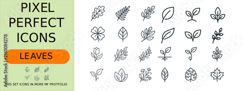 Canvastavla Leaf and Eco Icon Set, Maple Leaf, Oak Leaf, Vegetarian Symbol, Organic Food, Gr
