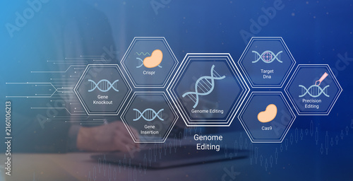 Bild auf Leinwand Modern illustration depicting various genome editing techniques including CRISPR