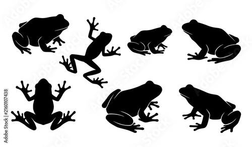 Obraz na plátně Frog silhouette collection with varied amphibian shapes and poses black vector s