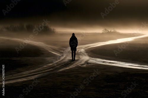 Solitary figure stands at a misty crossroads, bathed in a warm glow, symbolizing choice, uncertainty, and the journey ahead.