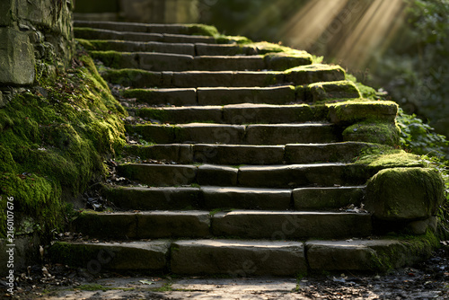 Ancient moss-covered stone steps winding through a tranquil forest, bathed in dappled sunlight. A serene path leading upwards.
