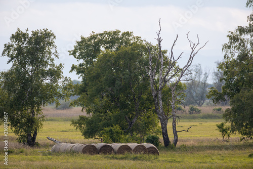 Foto Landschaft im Nationalpark