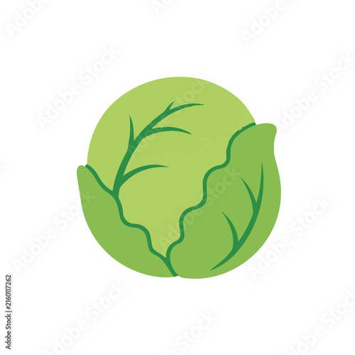 cabbage