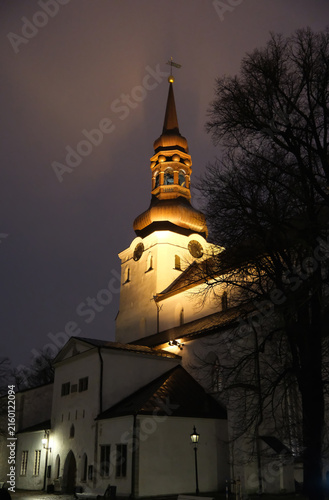night view of the illuminated St. Mary's Cathedral in Tallinn with its baroque spire.