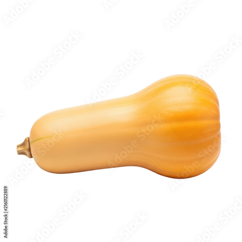 Fresh whole butternut squash isolated on transparent background