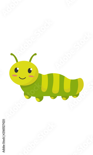 green caterpillar on a white background