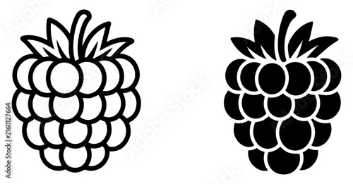 raspberry fruit berry food icon