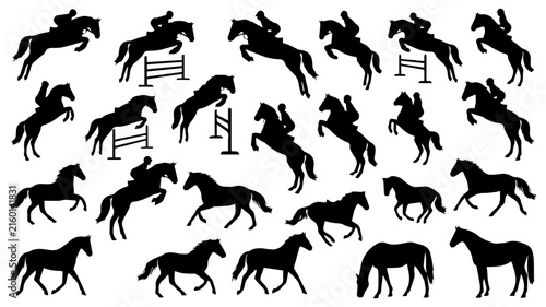 Black_horse_silhouettes_in_pose