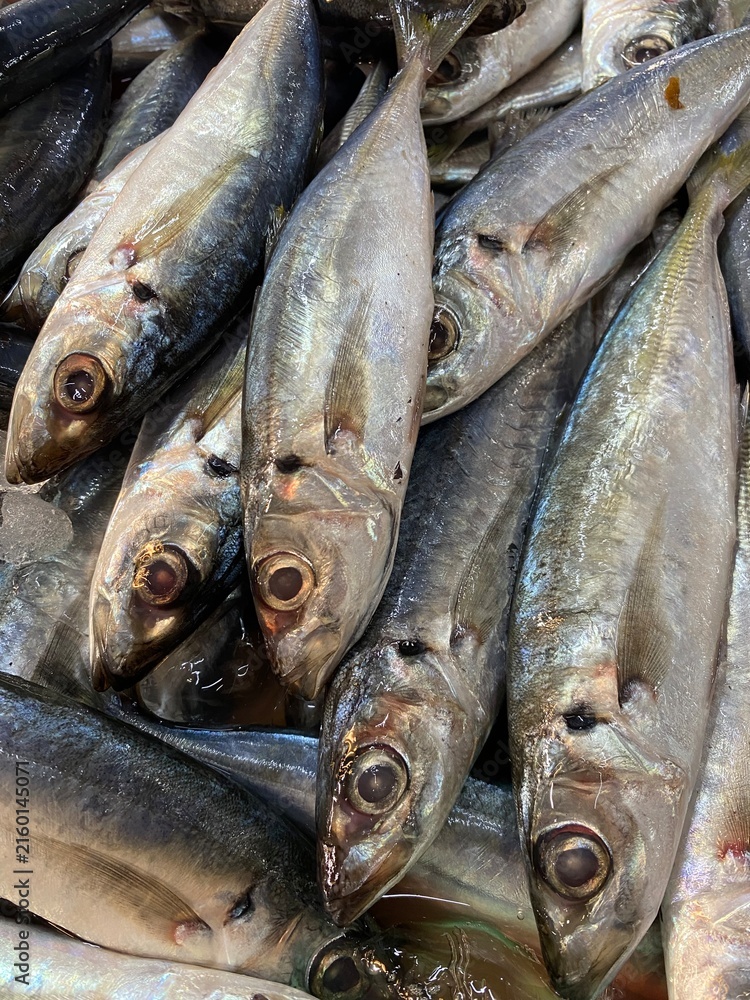 Obraz premium fresh fish on the market, sarden fish