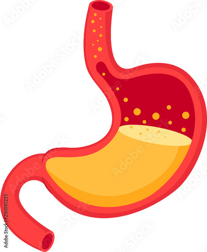 Konstfotografi gas bubbles in intestines bloating stomach illustration
