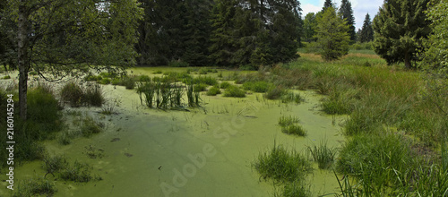 Pond in Kladske raseliny, Slavkovsky les, Czech republic,Europe
