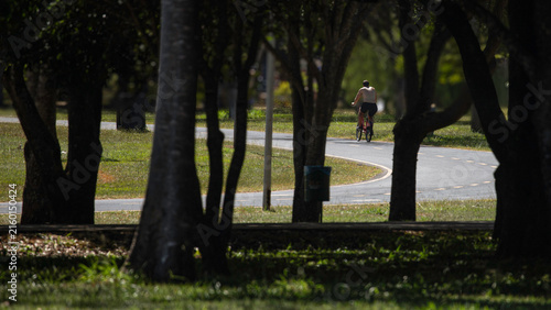 People riding bicycles in a sunny park