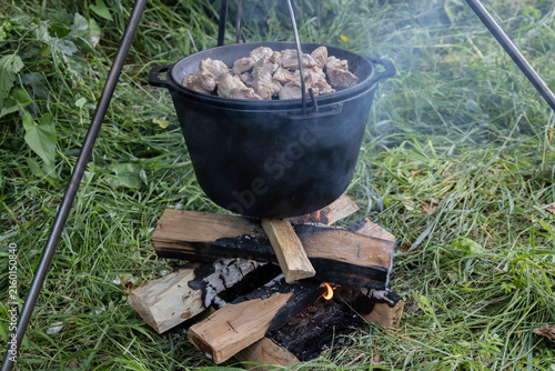 Cooking meat in a black cast iron cauldron over an open campfire with wood logs in a green grass field during a summer camping trip, outdoor travel adventure preparing delicious food in nature.