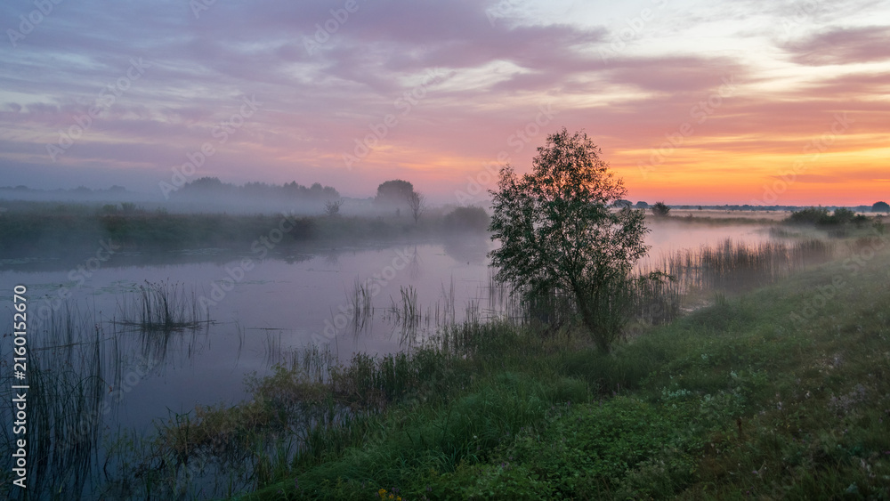 Fototapeta premium A serene river winds through a misty green landscape under a vibrant pink and orange dawn sky with a single prominent tree