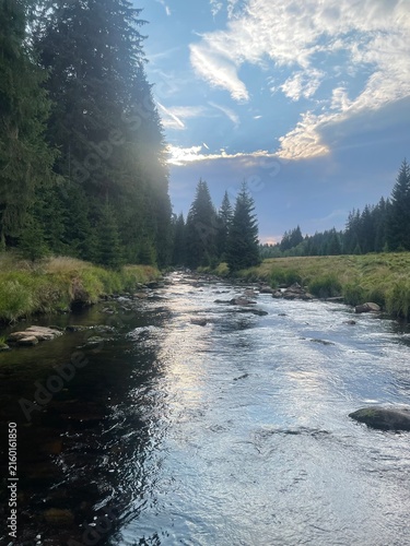 Photography river in the forest