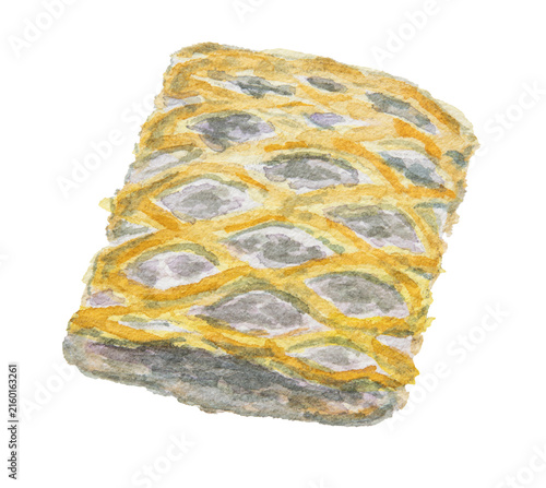 Lattice taro pie watercolor illustration