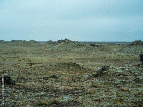 Moss-covered lava field in remote Icelandic volcanic landscape
