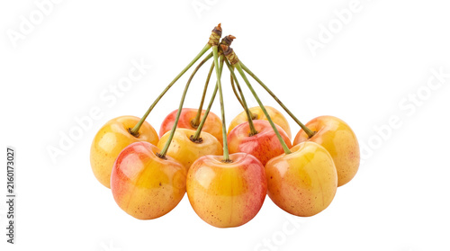 Cuadro en lienzo Cluster of ripe yellow cherries with green stems arranged in bunch for culinary recipes and fruit displays