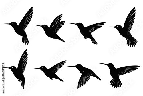 Set of Silhouettes of Eight Hummingbirds in Various Flying Poses