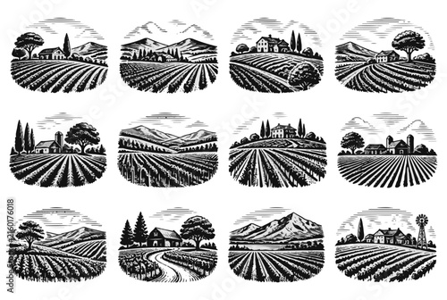 Vintage Vineyard and Farm Scenes a Set of 12 Engraved Illustrations