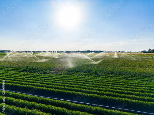 Fotografie Sprinklers watering the field during the day in a rural area with crops and clea