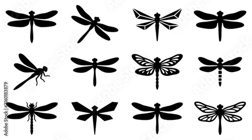 Collection of diverse dragonfly silhouettes in a clean graphic design pattern