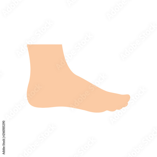 Foto Human foot in peach color on white background