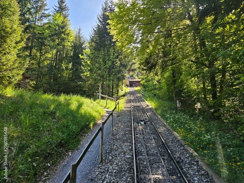 Konstfotografi railway in the forest at stans, swiss