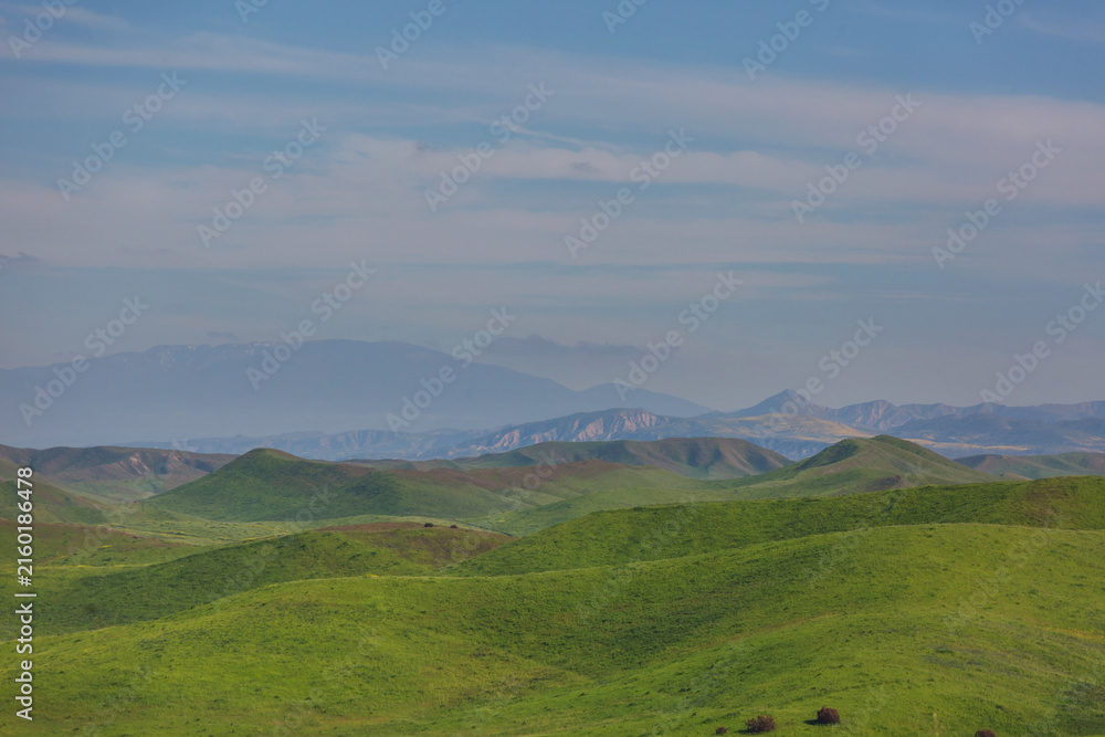 Fototapeta premium Green hills