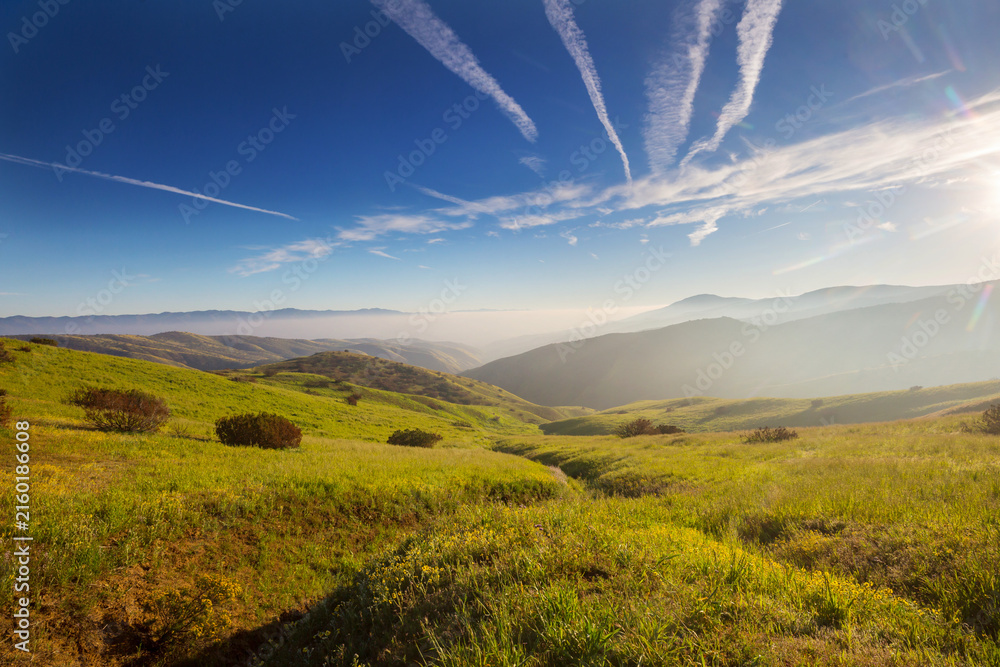 Fototapeta premium Green hills