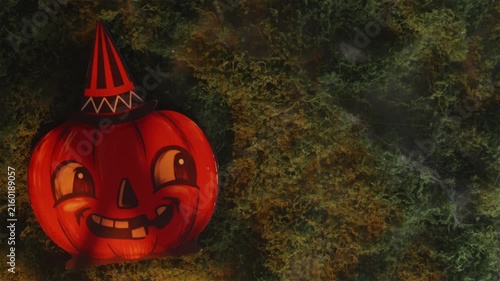 Top down cover video of witch hat pumpkin on foggy moss