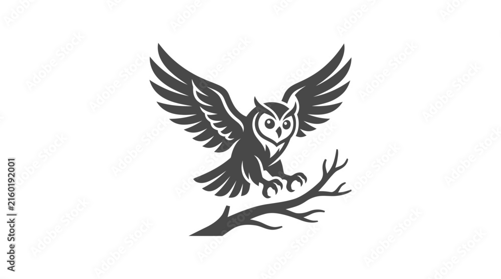 Fototapeta premium Owl perched on branch.