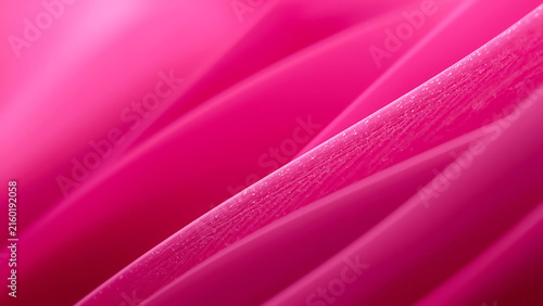 Abstract Close up Macro of Vibrant Pink Petals with Delicate Texture
