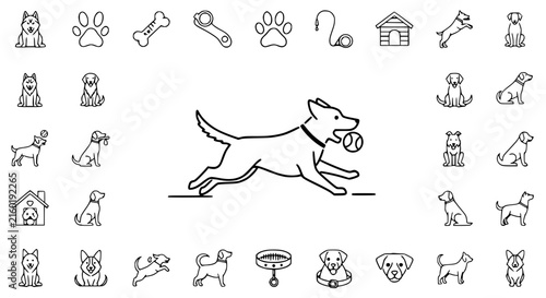 Dog Icons Set: Running Dog with Ball, Breeds, Accessories, and Activities