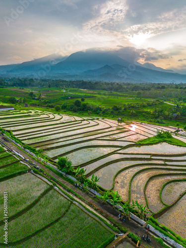 Aerial view of the lush green Jatiluwih rice terraces featuring intricate water-filled paddies, tropical vegetation, and distant volcanic mountains in Penebel, Bali, Indonesia