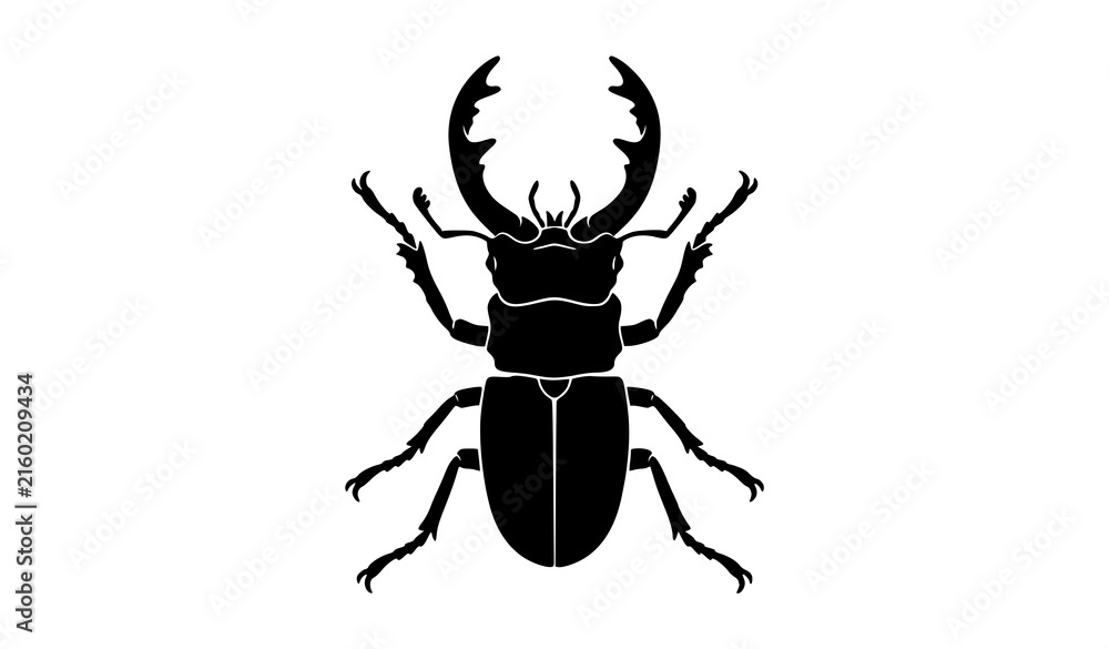 Fototapeta premium Stag beetle with large antler mandibles black silhouette vector illustration