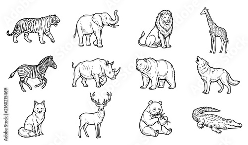 Photography Hand drawn wild animal collection featuring tiger, elephant, lion, giraffe, zebr