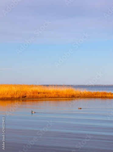 Almost sunset turns peninsula golden
