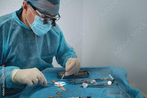 A dental surgeon prepares a connective tissue graft to cover gum recession, thicken the gum, or improve its contour during dental surgery.