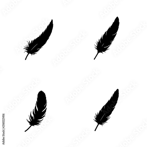 Feathers set with four simple feather drawings arranged in a square formation featuring feather, line art, illustration with minimalism and serenity