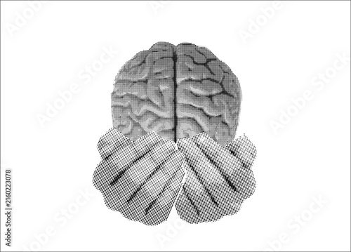 Collage element of two hands gently holding a human brain in palms, halftone newspaper style on transparent background, care for mind concept, hand drawn illustration