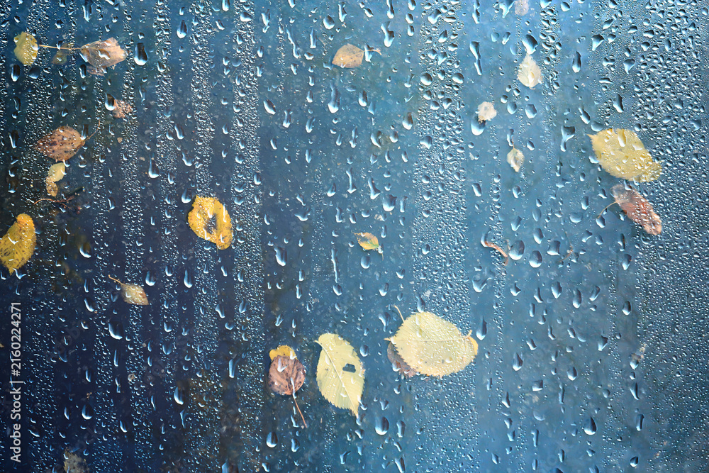 Fototapeta premium Drops on the window, autumn leaves, abstract autumn weather background