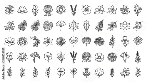 Botanical Flower and Plant Outline Icon