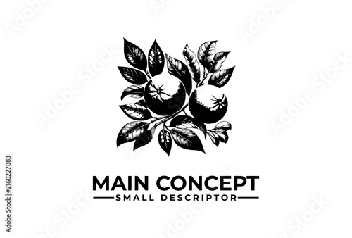 Citrus fruit cluster logo emblem illustrated in an elegant classic line art style.